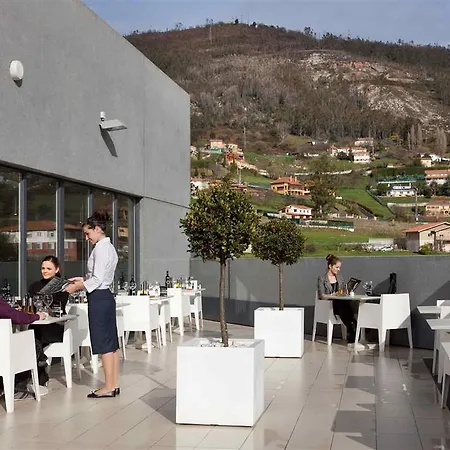 Ibis 2* オビエド