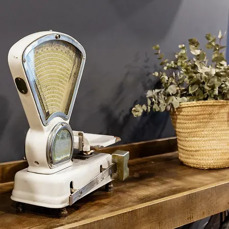 Ibis 2* オビエド